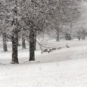 Meet your Posher, Danieli